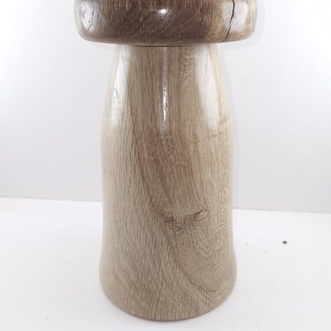 Blog sur le Cèpe lumineux rechargeable