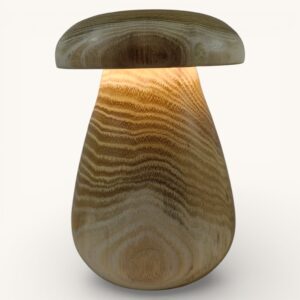 Lampe nomade Champignon lumineux en robinier