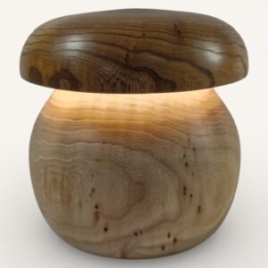 Champignon lumineux en Hêtre