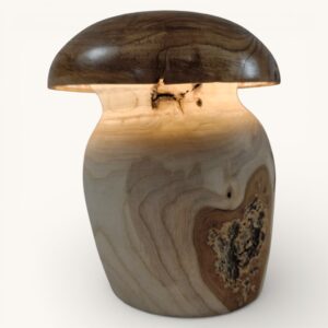 Champignon lumineux en frêne