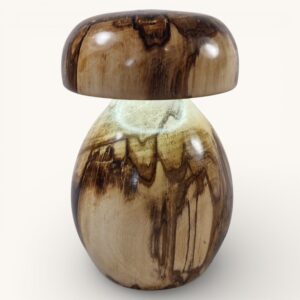 Champignon lumineux en bouleau échauffé